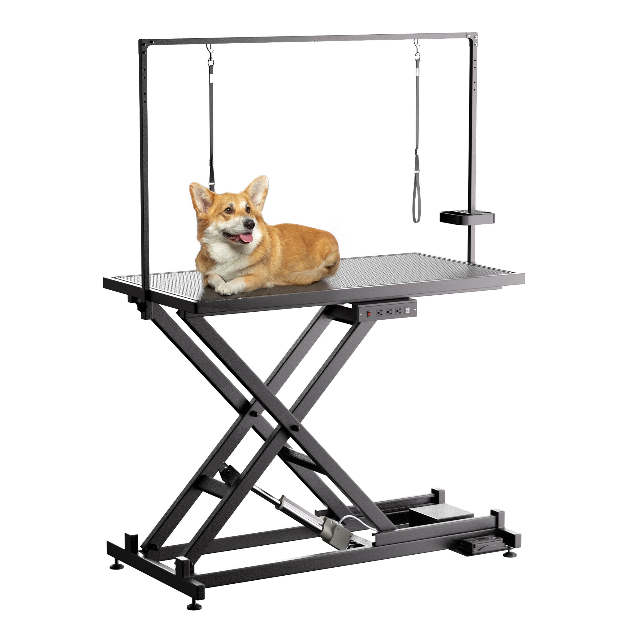Height Adjustable Pet Grooming Table