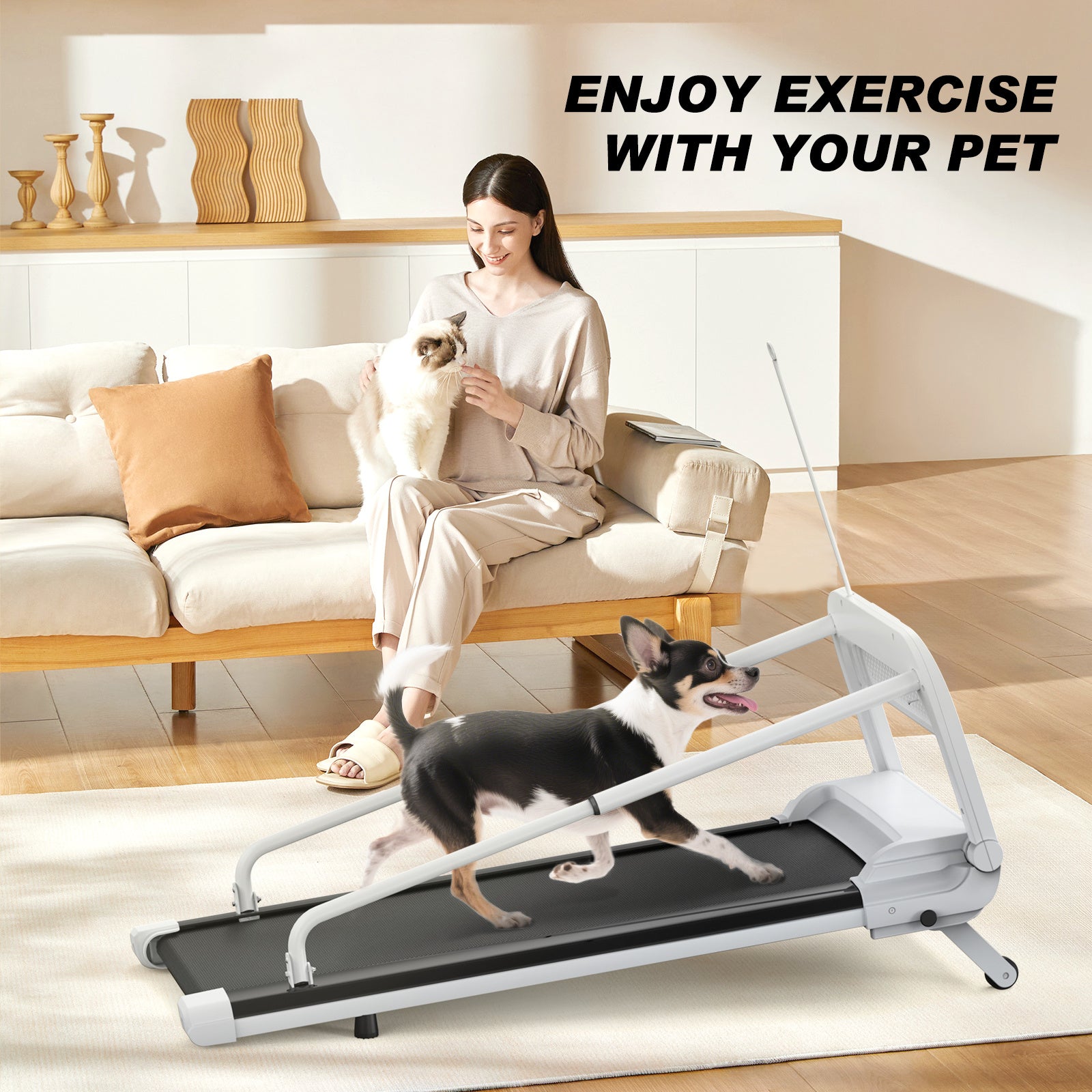 Mindrunning購入ページ New Quiet Smart Pet Treadmill, Adjustable Speed, Perfect For Small