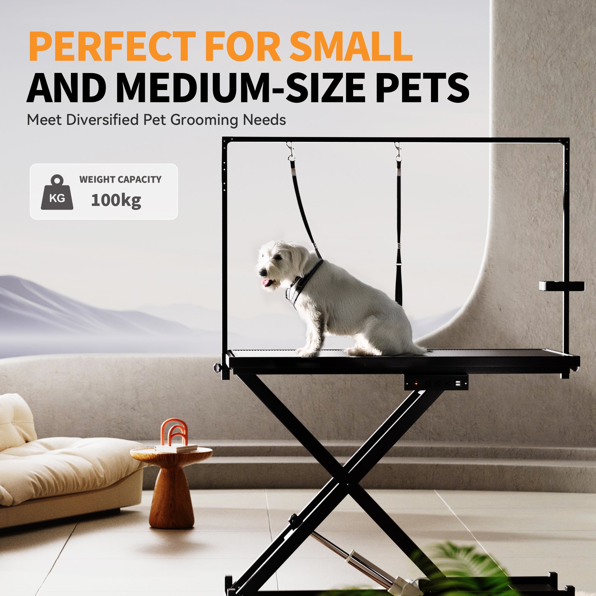 Height Adjustable Pet Grooming Table